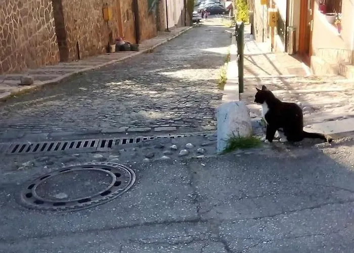 Himber Σαράγεβο